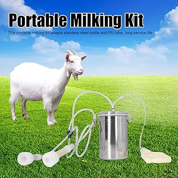 【nabe190様用】MILKING THE GOATMACHINE/ Goat Sale! 1 Goat Interpuls ITP205 SS bucket milker - Hamby Dairy